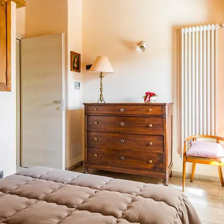 - Panoramic By Alterego *